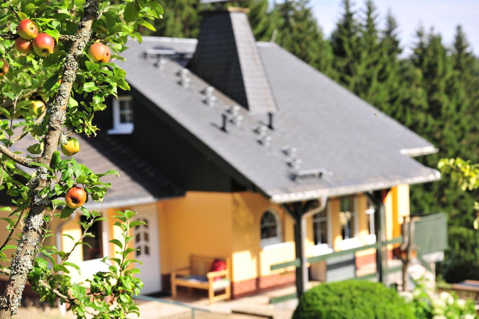 Exklusives Ferienhaus "Waldzauber" Ruhe Und Natur Pur Am Waldrand Geniessen Schoenheide Bagian luar foto